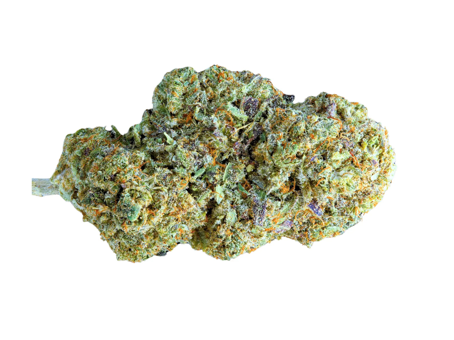 Snow Flake - Indoor