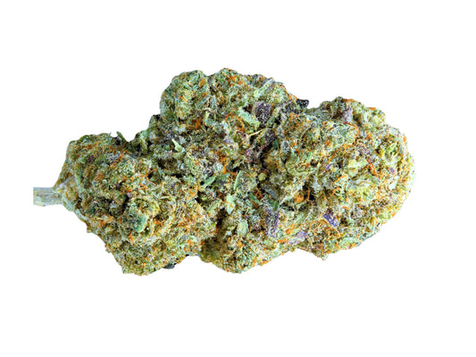 Snow Flake - Indoor