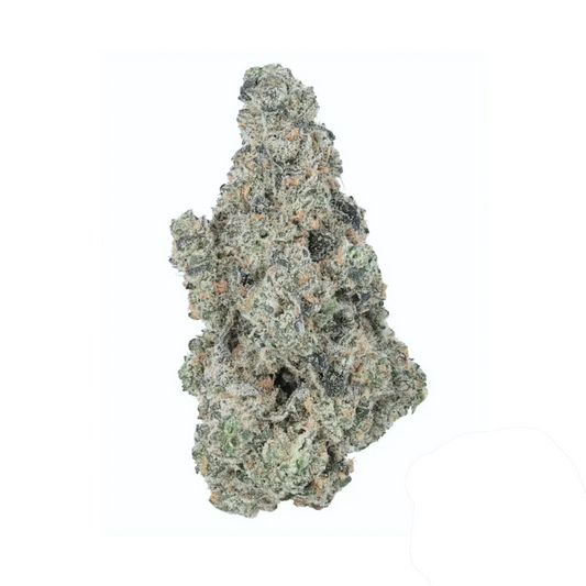 White Cookie - Limited Edition